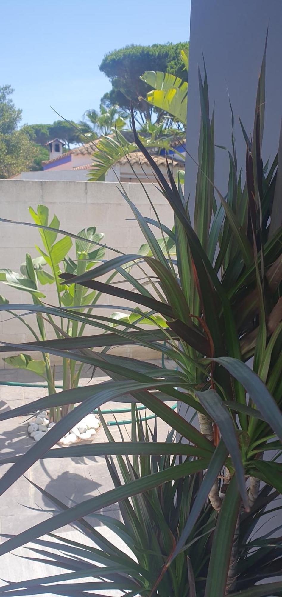 Villa Cristal Chiclana de la Frontera Exterior foto